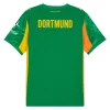 Borussia Dortmund 1ª Equipación Portero 25-26
