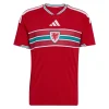 Camiseta Gales 1ª Equipación 2026