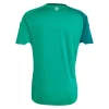 Camiseta Irlanda del Norte 1ª Equipación 2026