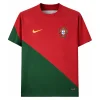Camiseta Retro Portugal 2022 1ª Equipación