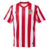 Retro Atlético de Madrid 2011-12 1ª Equipación